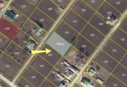 s. Costești, Ialoveni, Moldova imaginea 239207