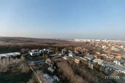 ул. Кодрилор, Дурлешты, мун. Кишинев изображение 208556