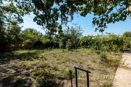 str. Viticultorilor, Codru, Chișinău imaginea 231421