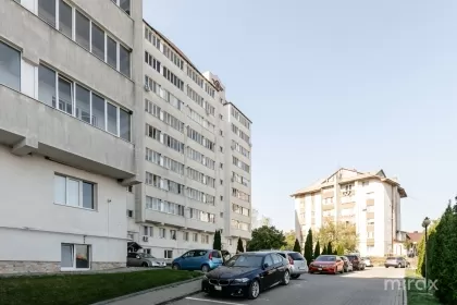 ул. Тимишоара, Яловены, муниципалитет. Кишинев изображение 234419