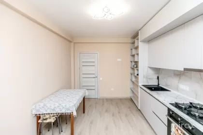 ул. Тимишоара, Яловены, муниципалитет. Кишинев изображение 234407