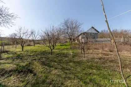 ул. Св. Михаил, Стрэйстены, мун. Кишинев изображение 216051