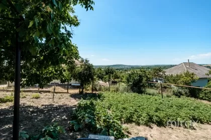 s. Floreni, Anenii Noi, Moldova imaginea 226228