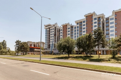 bd. Dacia, Botanica, Chișinău image 235671