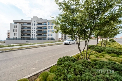 bd. Dacia, Botanica, Chișinău imaginea 238077