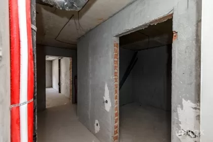 ул. Пашунилор, Ботаника, Кишинев изображение 148881
