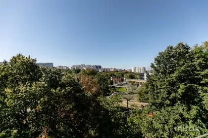 bd. Dacia, Botanica, Chișinău imaginea 235694