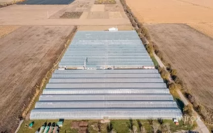 Оницкань, Криулень, Кишинев изображение 50010