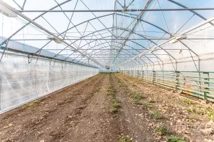Оницкань, Криулень, Кишинев изображение 50014