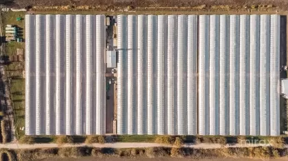Оницкань, Криулень, Кишинев изображение 50011