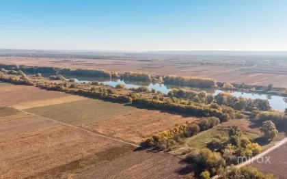 Оницкань, Криулень, Кишинев изображение 50001