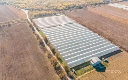 Оницкань, Криулень, Кишинев изображение 50012