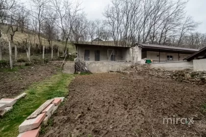 с. Галешты, Страшены, мун. Кишинев изображение 213347