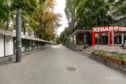 bd. Dacia, Botanica, Chișinău imaginea 234615