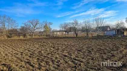 s.Coșnița, Dubăsari, Moldova image 201029