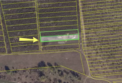 com. Colonița, mun. Chișinău imaginea 238248