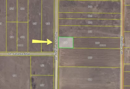 str. Afanasie Chiochiu, Băcioi, Chișinău imaginea 238250