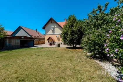 str. Livezilor, Stăuceni, mun. Chișinău imaginea 230287