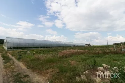 str. Mălăiești, Criuleni, Chișinău imaginea 93804