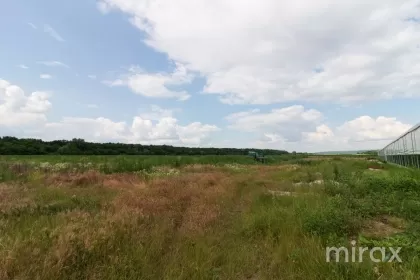 str. Mălăiești, Criuleni, Chișinău imaginea 93817