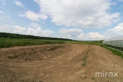 str. Mălăiești, Criuleni, Chișinău imaginea 93821