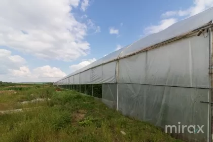 str. Mălăiești, Criuleni, Chișinău imaginea 93816