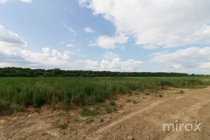 str. Mălăiești, Criuleni, Chișinău imaginea 93813